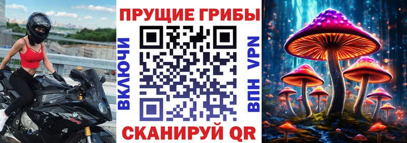 Псилоцибиновые грибы мухоморы магазин наркотиков Дзержинск